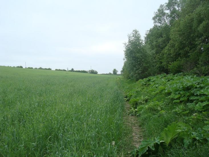 Мацьківці з panoramio.com - Мацьковцы
