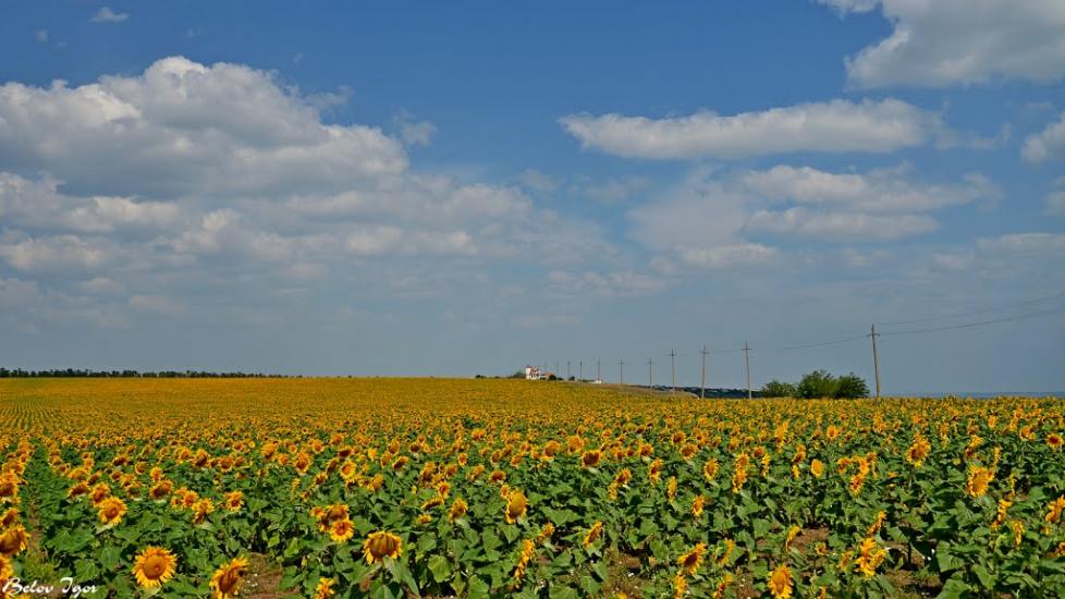 Болгарка з panoramio.com - Болгарка