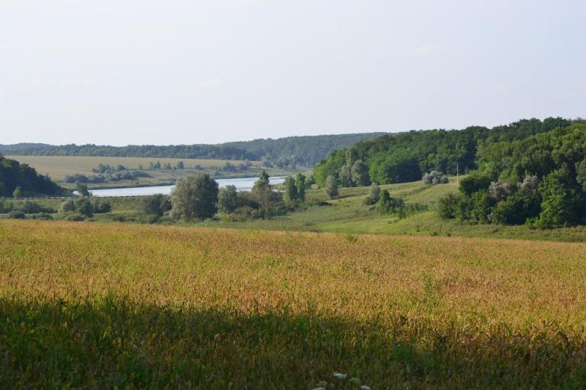 Грабовське з panoramio.com - Грабовское