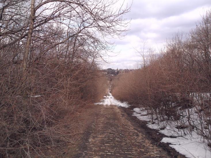 Карло-Марксове з panoramio.com - Карло-Марксове