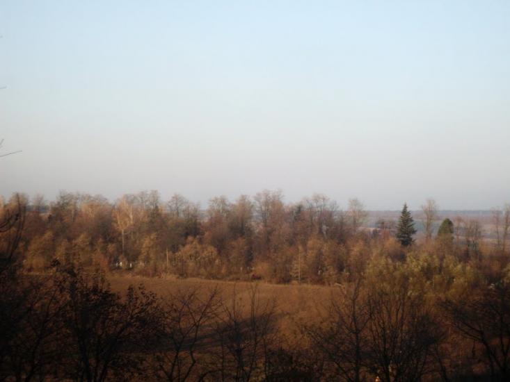 Куна з panoramio.com - Куна