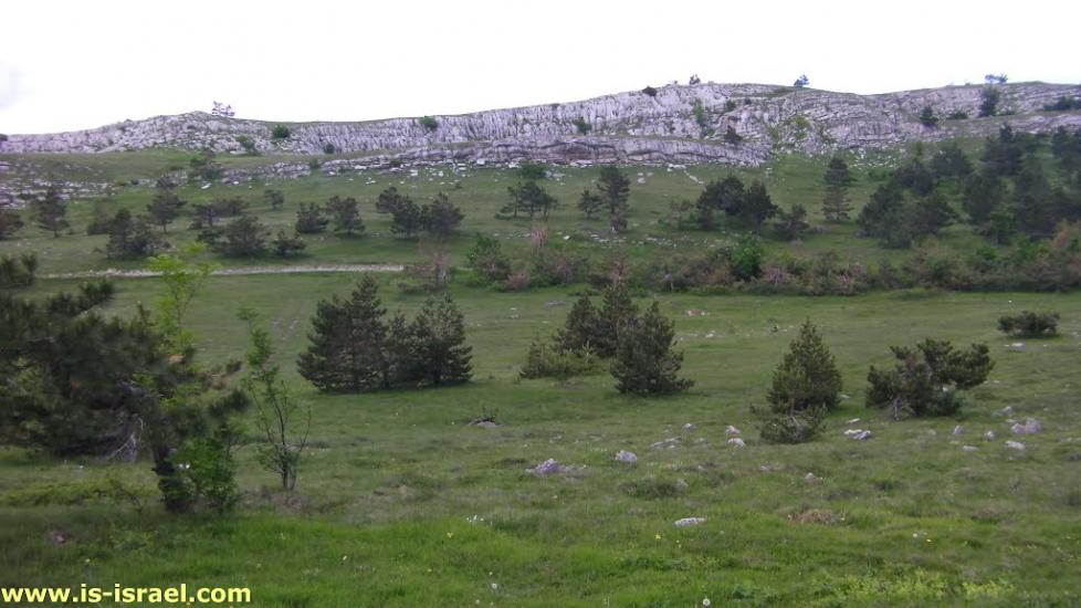 Відрадне з panoramio.com - Отрадное