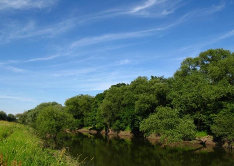 Литовеж з panoramio.com - Литовеж