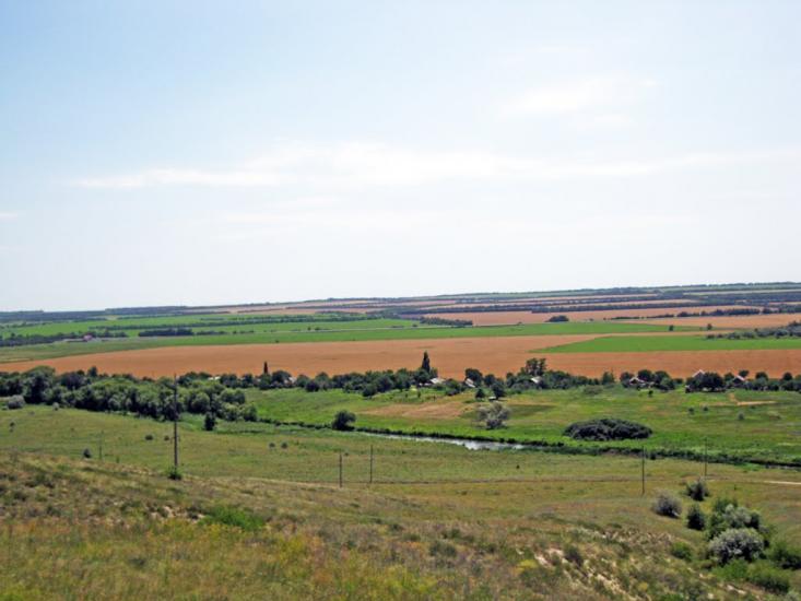 Весела Тарасівка з panoramio.com - Весела Тарасівка