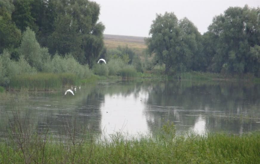 Розкопанці з panoramio.com - Rozkopantsi