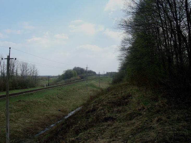 Красівка з panoramio.com - Красовка