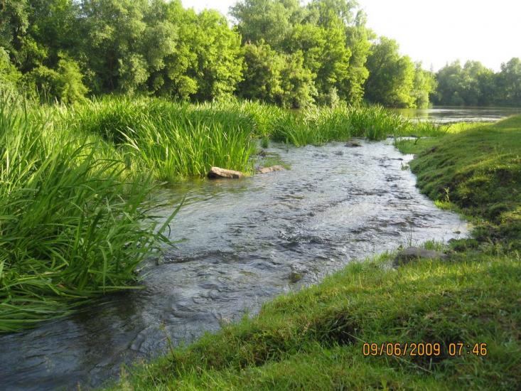 Люшнювате з panoramio.com - Люшнювате