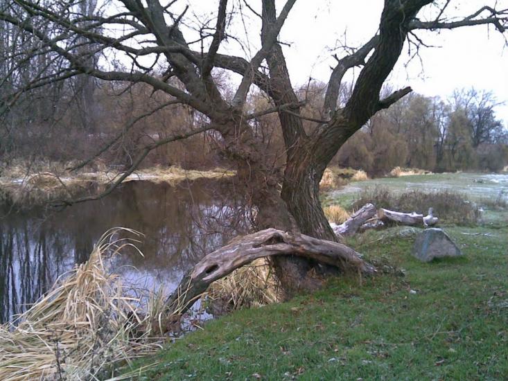 Баранівка з panoramio.com - Baranivka