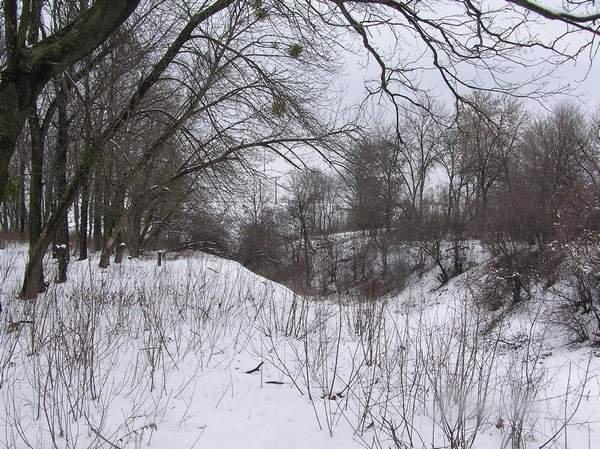 Коротич з panoramio.com - Коротыч