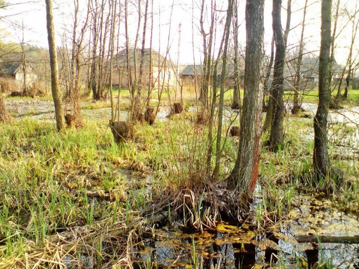 Лабурівка з panoramio.com - Лабурівка