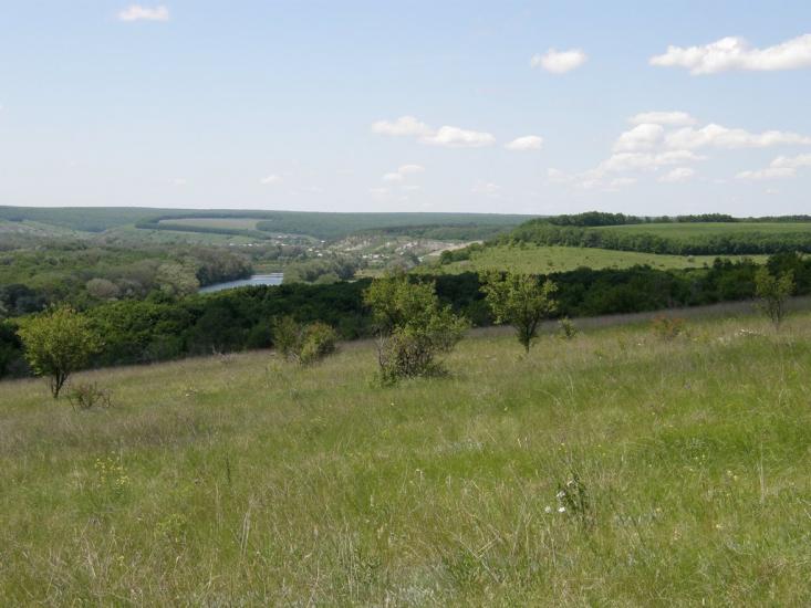 Пришиб з panoramio.com - Пришиб