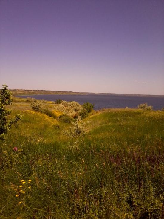 Пшонянове з panoramio.com - Пшонянове