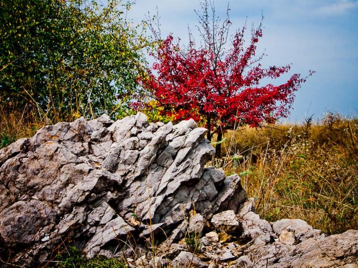 Стаханов з panoramio.com - Стаханов