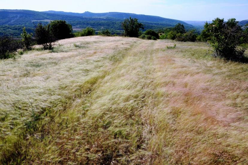 Прохладне з panoramio.com - Прохладное