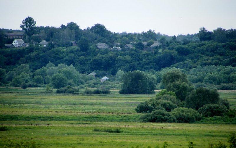 Пирогівка з panoramio.com - Пироговка