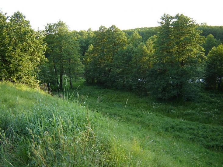 Нові Яриловичі з panoramio.com - Новые Ярыловичи