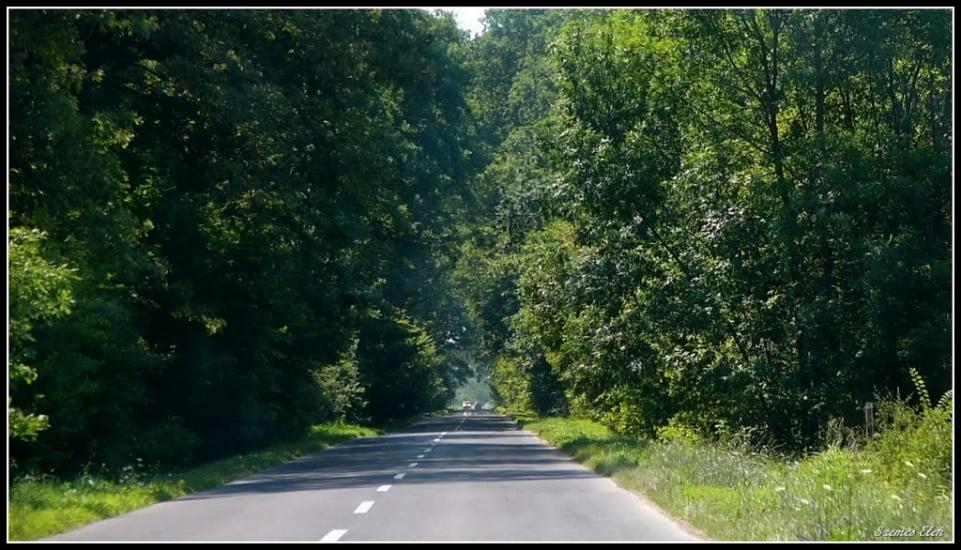 Бадалово з panoramio.com - Бадалово