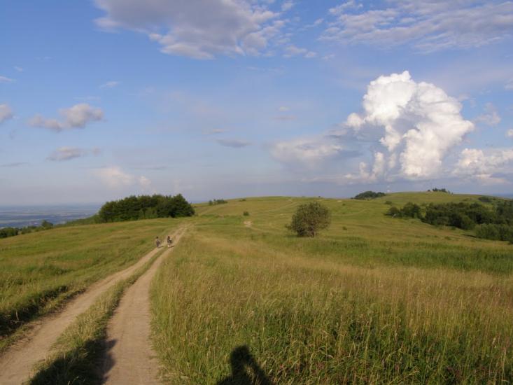 Орів з panoramio.com - Oriv