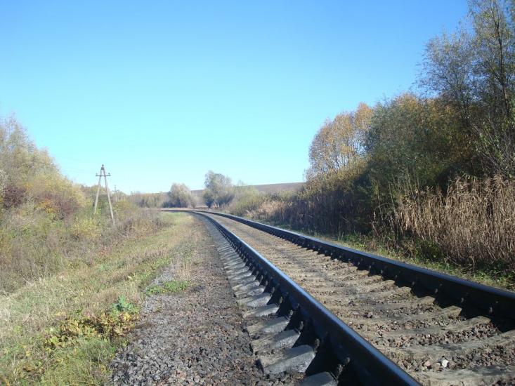Западинці з panoramio.com - Zapadyntsi