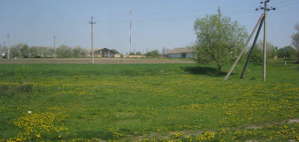 Черниця з panoramio.com - Черниця