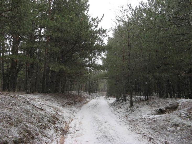 Широке з panoramio.com - Широкое