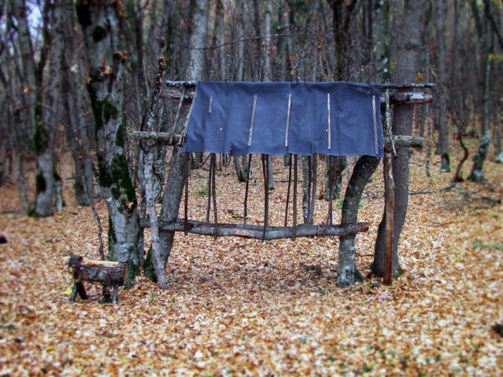 Новобобрівське з panoramio.com - Новобобровское