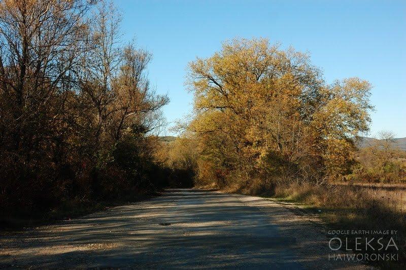 Поляна з panoramio.com - Поляна