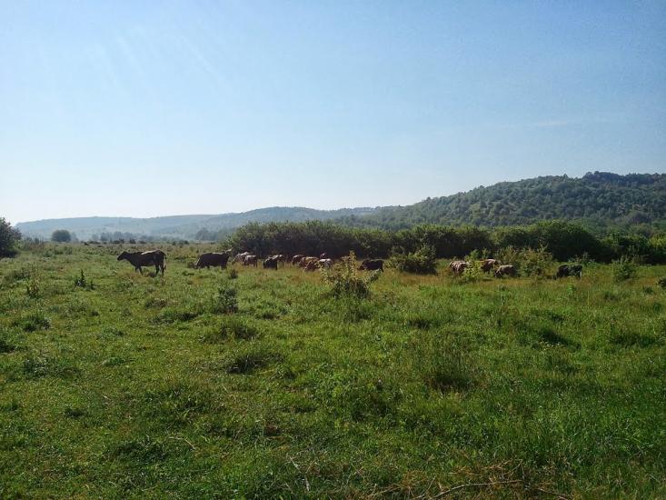 Новоукраїнка з panoramio.com - Новоукраїнка