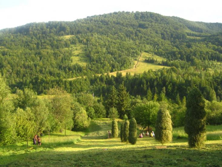 Кричка з panoramio.com - Кричка