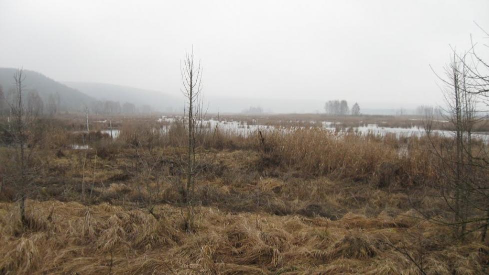 Старосілля з panoramio.com - Starosillya