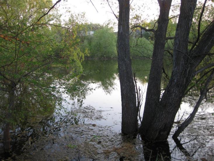 Шрамки з panoramio.com - Шрамки