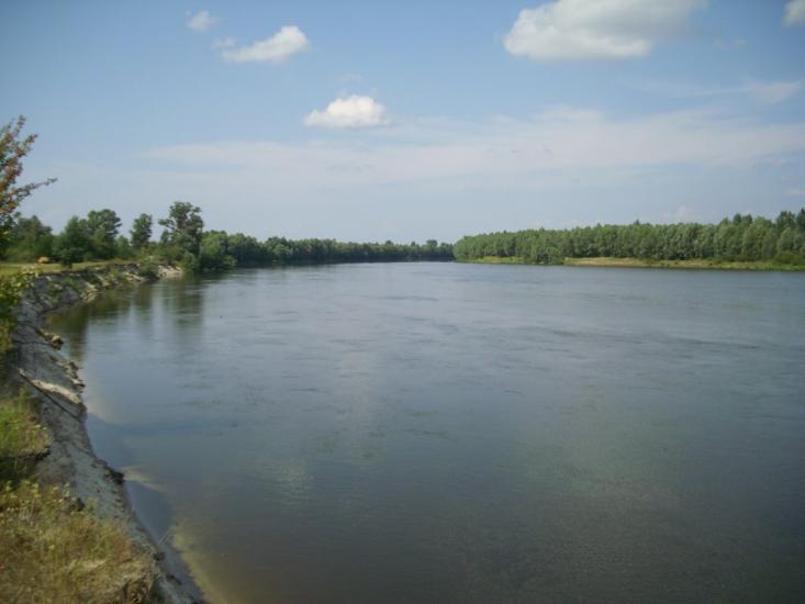 Вища Дубечня з panoramio.com - Высшая Дубечня