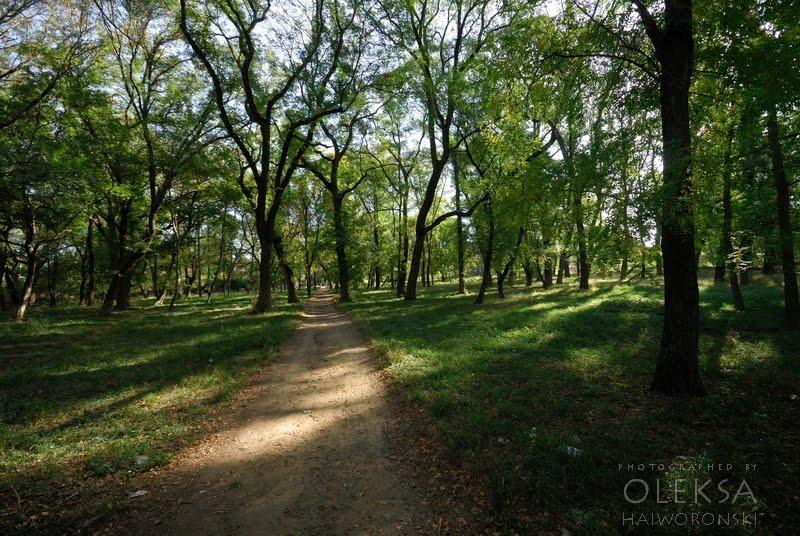 Каштанове з panoramio.com - Каштановое