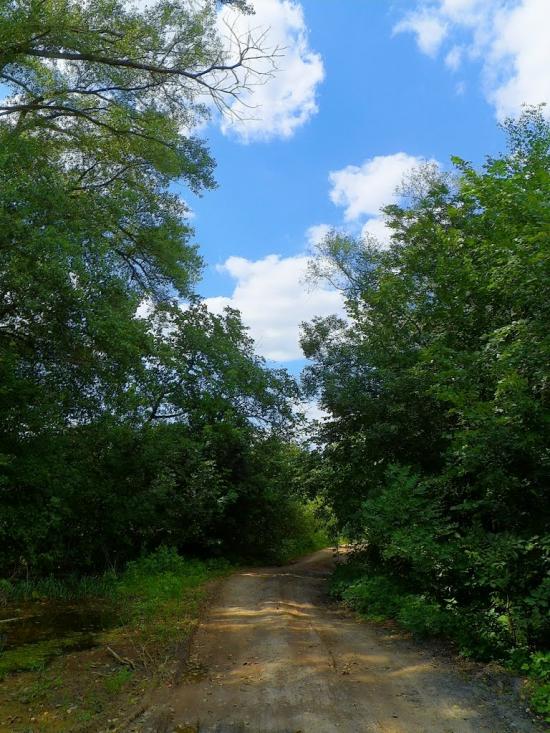 Комсомолець з panoramio.com - Комсомолец