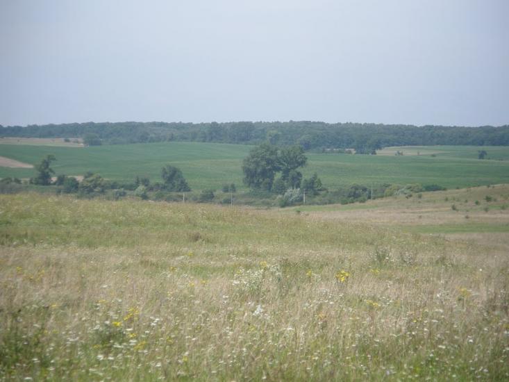 Бережне з panoramio.com - Бережне