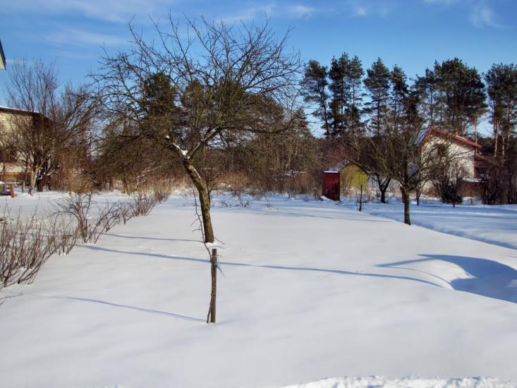Підрясне з panoramio.com - Підрясне