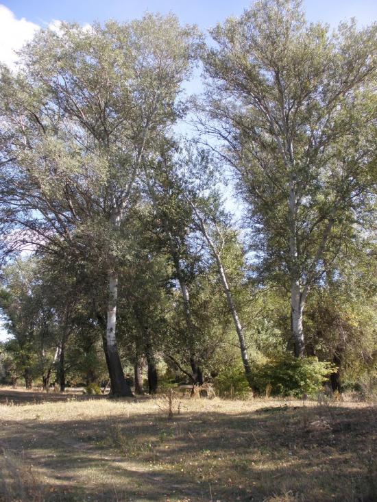 Пархоменко з panoramio.com - Пархоменко