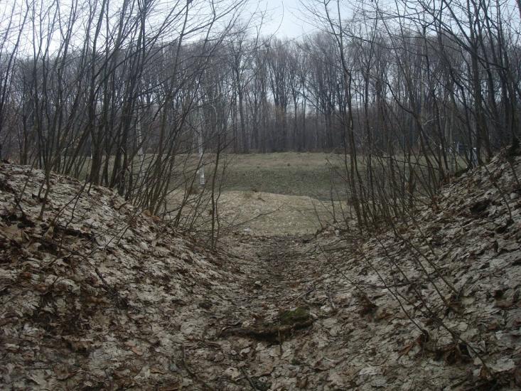 Слобода-Межирівська з panoramio.com - Sloboda-Mezhyrivska