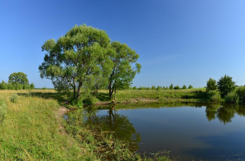 Тополівка з panoramio.com - Тополівка