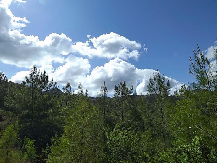Ярова з panoramio.com - Ярова