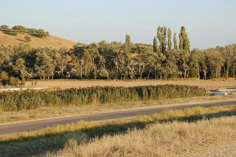 Осипенко з panoramio.com - Осипенко
