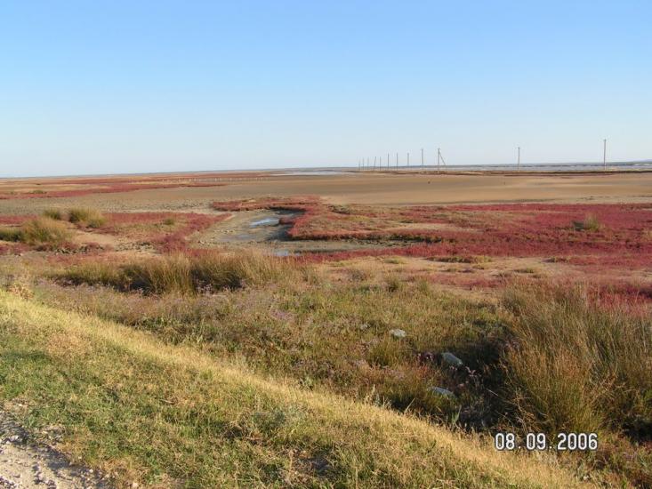 Соляне з panoramio.com - Соляное