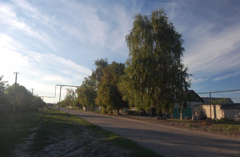 Борівське з panoramio.com - Боровское