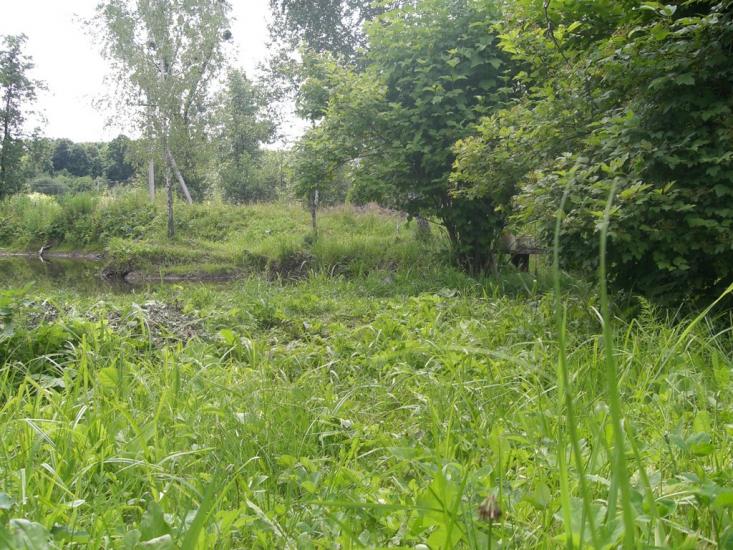 Гвоздів з panoramio.com - Гвоздов