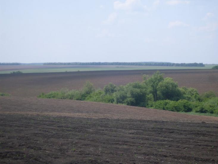 Карбівське з panoramio.com - Karbivske