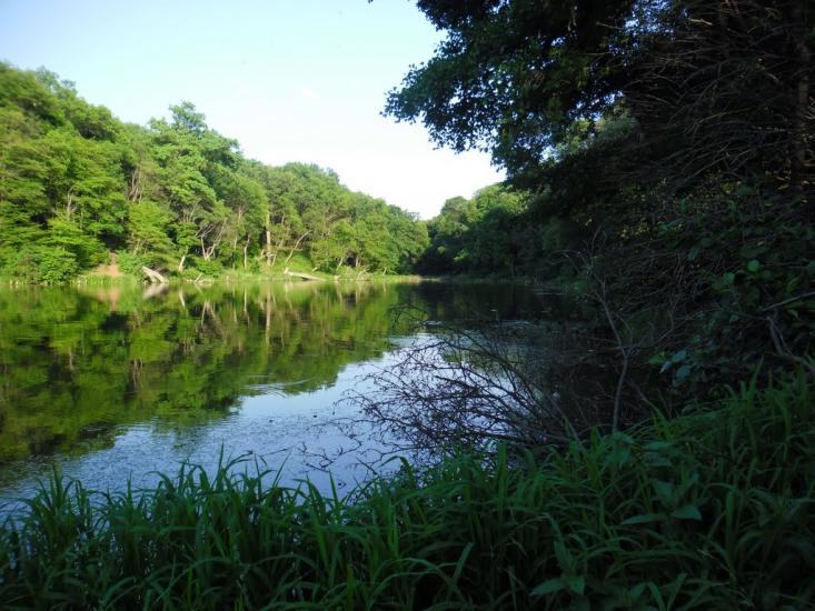 Сєверне з panoramio.com - Syeverne