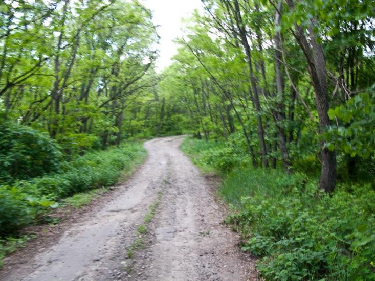 Григорівка з panoramio.com - Григоровка