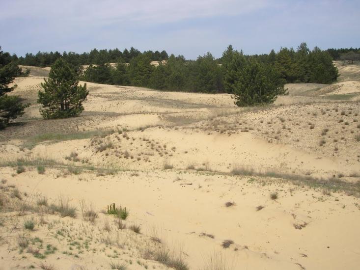 Раденськ з panoramio.com - Radensk