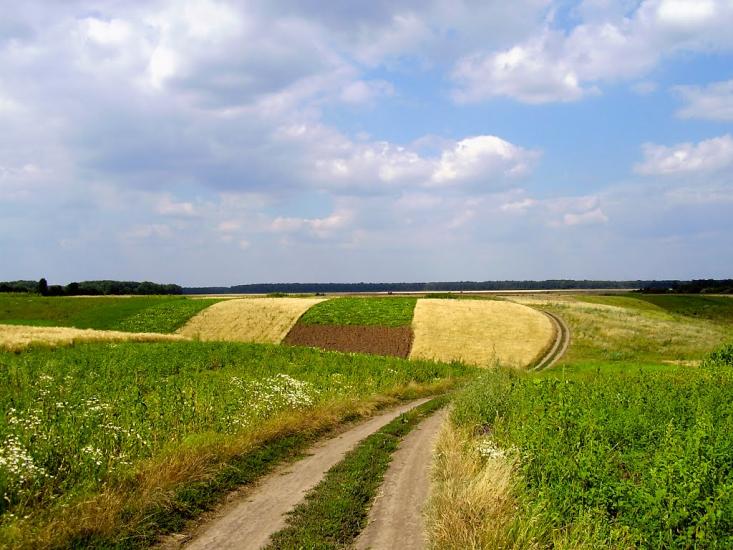 Дзензелівка з panoramio.com - Дзензелівка