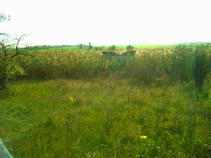 Успенівка з panoramio.com - Успенівка